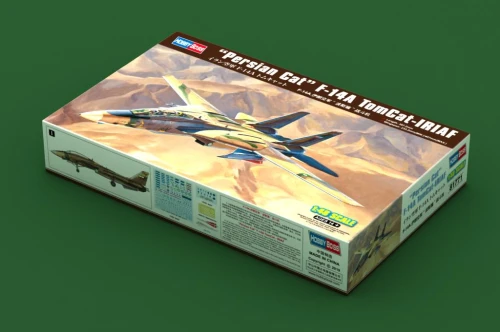 81771.jpg