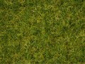 07072-1.jpg