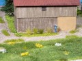 07013-1.jpg