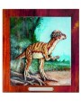 DINOZAURY pachycephalosaurus kolor.jpg