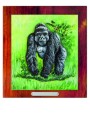 ZOO goryl kolor.jpg