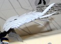 GUNDAM_RG_94380_WING_GUNDAM_ZERO_EW_ban994380_10.jpg