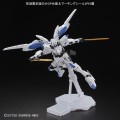 bael4.jpg