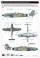 8185-17.jpg