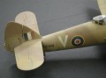 61053-6.jpg