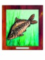 karp kolor.jpg