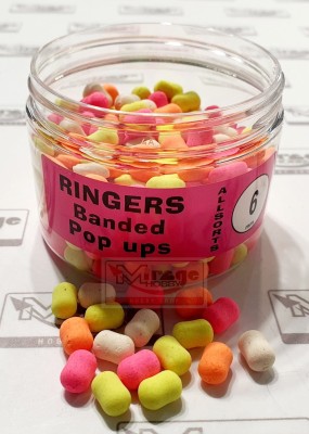 DUMBELLS RINGERS POP UP 6mm SHELLFISH ALLSORTS [PRNG56] 