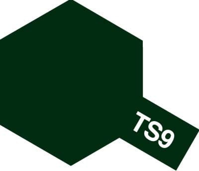ts9.jpg