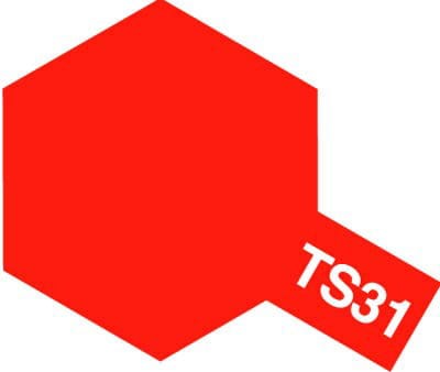 ts31.jpg
