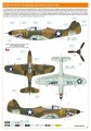 8092-11.jpg