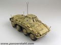 PANZERSTAHL_88011_SdKfz2341-6PzDiv1945_01.jpg