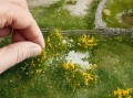 ground2.jpg