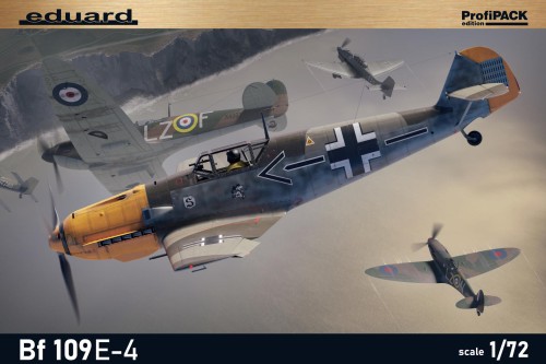 7033.jpg