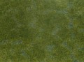 07252.jpg