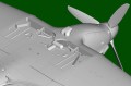 81777-10.jpg