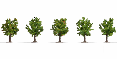 NOCH 25610 Zestaw Drzewek Owocowych [SET 5pcs] (8cm)