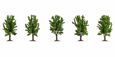 NOCH 25620 Zestaw Drzewa Liściaste [SET 5pcs] (8cm)