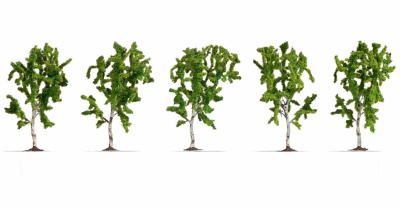 NOCH 25630 Zestaw Drzewa Brzozy [SET 5pcs] (10cm)