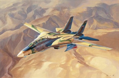 HOBBY BOSS 81771 1:48 IRIAF Persian Cat F-14A Tomcat
