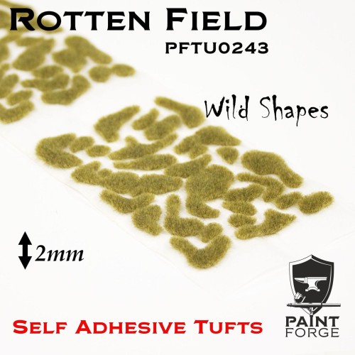 PFTU0243.jpeg