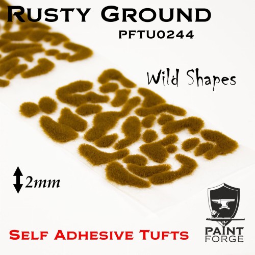 PFTU0244.jpeg