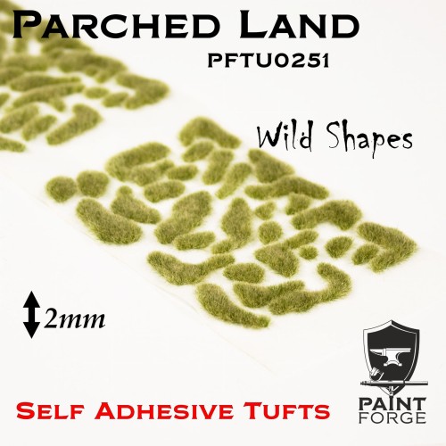 PFTU0251.jpeg