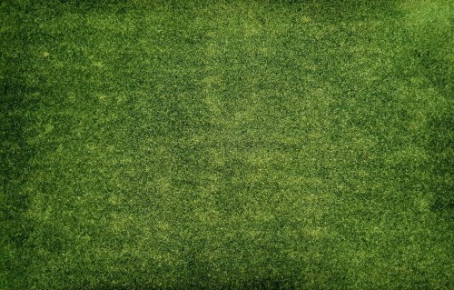 bc9421b6de7384057d49eb3586d95868